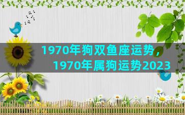 1970年狗双鱼座运势，1970年属狗运势2023