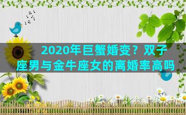 2020年巨蟹婚变？双子座男与金牛座女的离婚率高吗