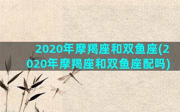 2020年摩羯座和双鱼座(2020年摩羯座和双鱼座配吗)