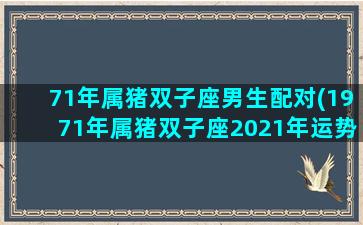 71年属猪双子座男生配对(1971年属猪双子座2021年运势)