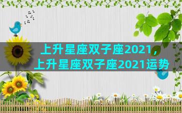 上升星座双子座2021，上升星座双子座2021运势