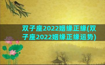 双子座2022姻缘正缘(双子座2022姻缘正缘运势)