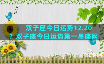 双子座今日运势12.20？双子座今日运势第一星座网