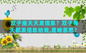 双子座天天发信息？双子每天都发信息给我,是啥意思？