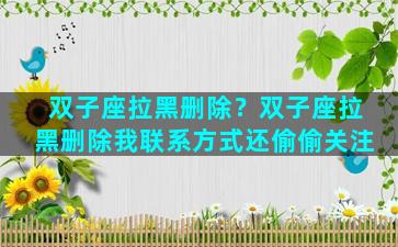 双子座拉黑删除？双子座拉黑删除我联系方式还偷偷关注