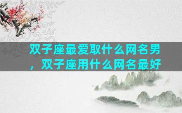 双子座最爱取什么网名男，双子座用什么网名最好