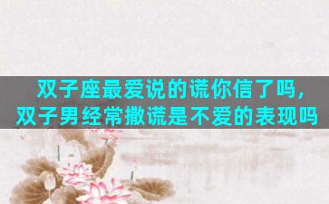 双子座最爱说的谎你信了吗,双子男经常撒谎是不爱的表现吗