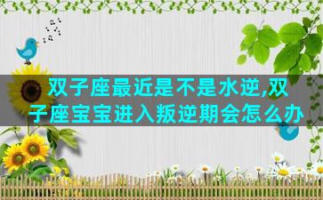 双子座最近是不是水逆,双子座宝宝进入叛逆期会怎么办