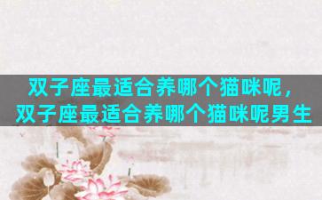 双子座最适合养哪个猫咪呢，双子座最适合养哪个猫咪呢男生