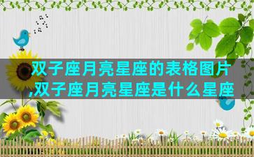 双子座月亮星座的表格图片,双子座月亮星座是什么星座