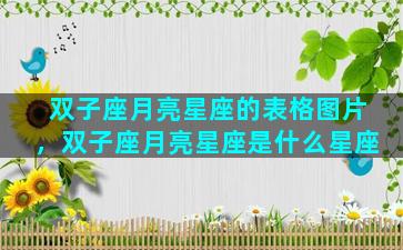 双子座月亮星座的表格图片，双子座月亮星座是什么星座