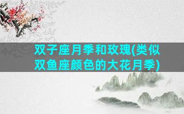 双子座月季和玫瑰(类似双鱼座颜色的大花月季)