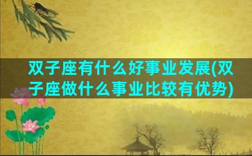 双子座有什么好事业发展(双子座做什么事业比较有优势)