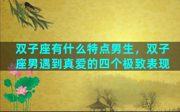 双子座有什么特点男生，双子座男遇到真爱的四个极致表现