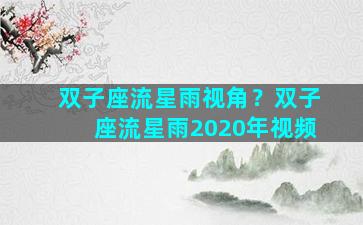 双子座流星雨视角？双子座流星雨2020年视频