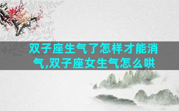 双子座生气了怎样才能消气,双子座女生气怎么哄