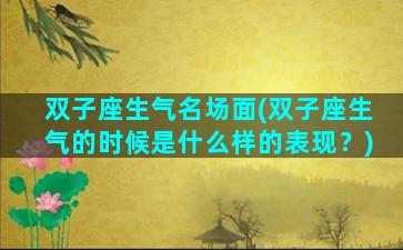 双子座生气名场面(双子座生气的时候是什么样的表现？)