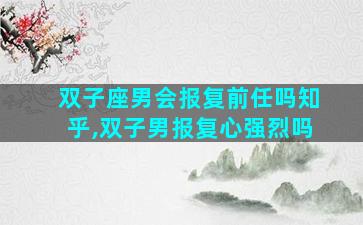 双子座男会报复前任吗知乎,双子男报复心强烈吗
