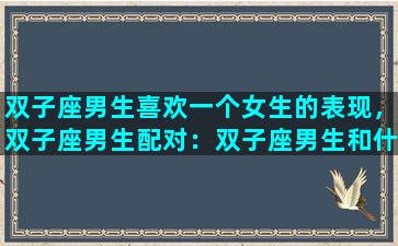 双子座男生喜欢一个女生的表现，双子座男生配对：双子座男生和什么星座女生最配