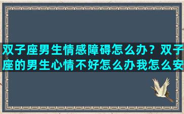 双子座男生情感障碍怎么办？双子座的男生心情不好怎么办我怎么安慰呢