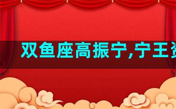 双鱼座高振宁,宁王资料