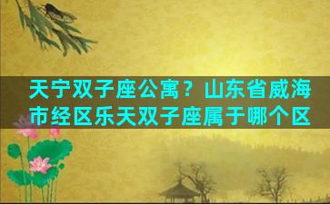 天宁双子座公寓？山东省威海市经区乐天双子座属于哪个区