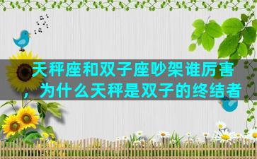 天秤座和双子座吵架谁厉害，为什么天秤是双子的终结者