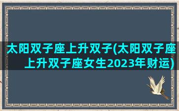 太阳双子座上升双子(太阳双子座上升双子座女生2023年财运)