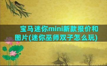 宝马迷你mini新款报价和图片(迷你巫师双子怎么玩)