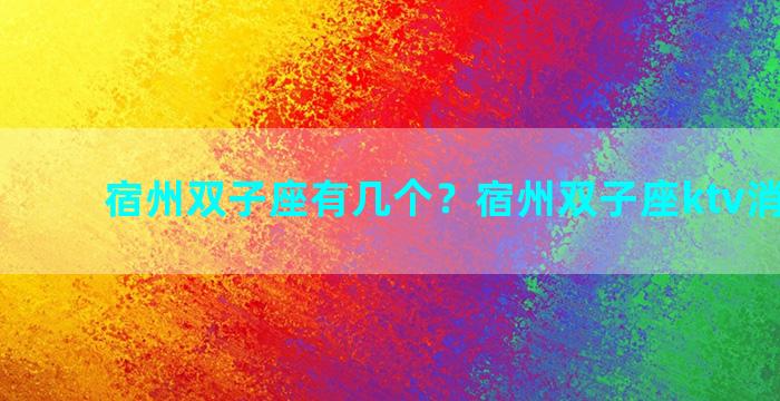 宿州双子座有几个？宿州双子座ktv消费高吗