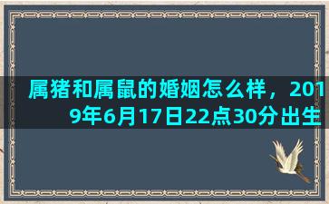 属猪和属鼠的婚姻怎么样，2019年6月17日22点30分出生属什么