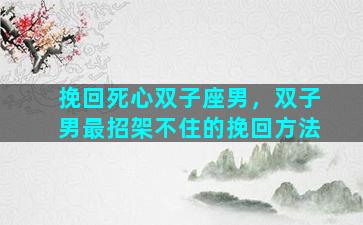 挽回死心双子座男，双子男最招架不住的挽回方法