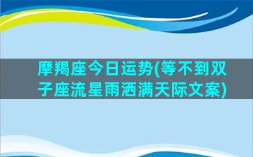 摩羯座今日运势(等不到双子座流星雨洒满天际文案)