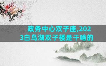 政务中心双子座,2023白鸟湖双子楼是干啥的