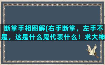 断掌手相图解(右手断掌，左手不是，这是什么鬼代表什么！求大神回答)