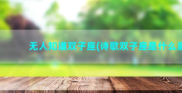 无人知道双子座(诗歌双子座是什么意思)