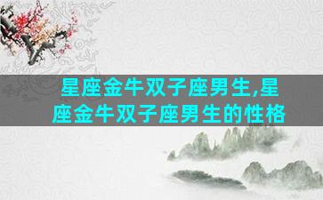 星座金牛双子座男生,星座金牛双子座男生的性格