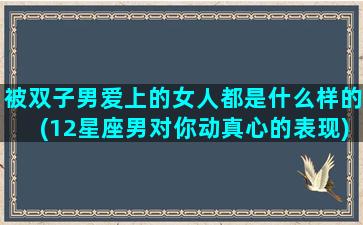 被双子男爱上的女人都是什么样的(12星座男对你动真心的表现)