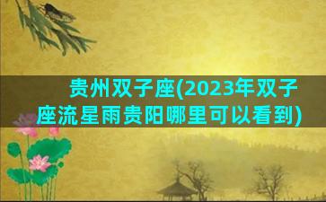 贵州双子座(2023年双子座流星雨贵阳哪里可以看到)