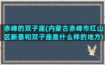 赤峰的双子座(内蒙古赤峰市红山区新泰和双子座是什么样的地方)