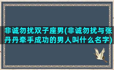 非诚勿扰双子座男(非诚勿扰与张丹丹牵手成功的男人叫什么名字)